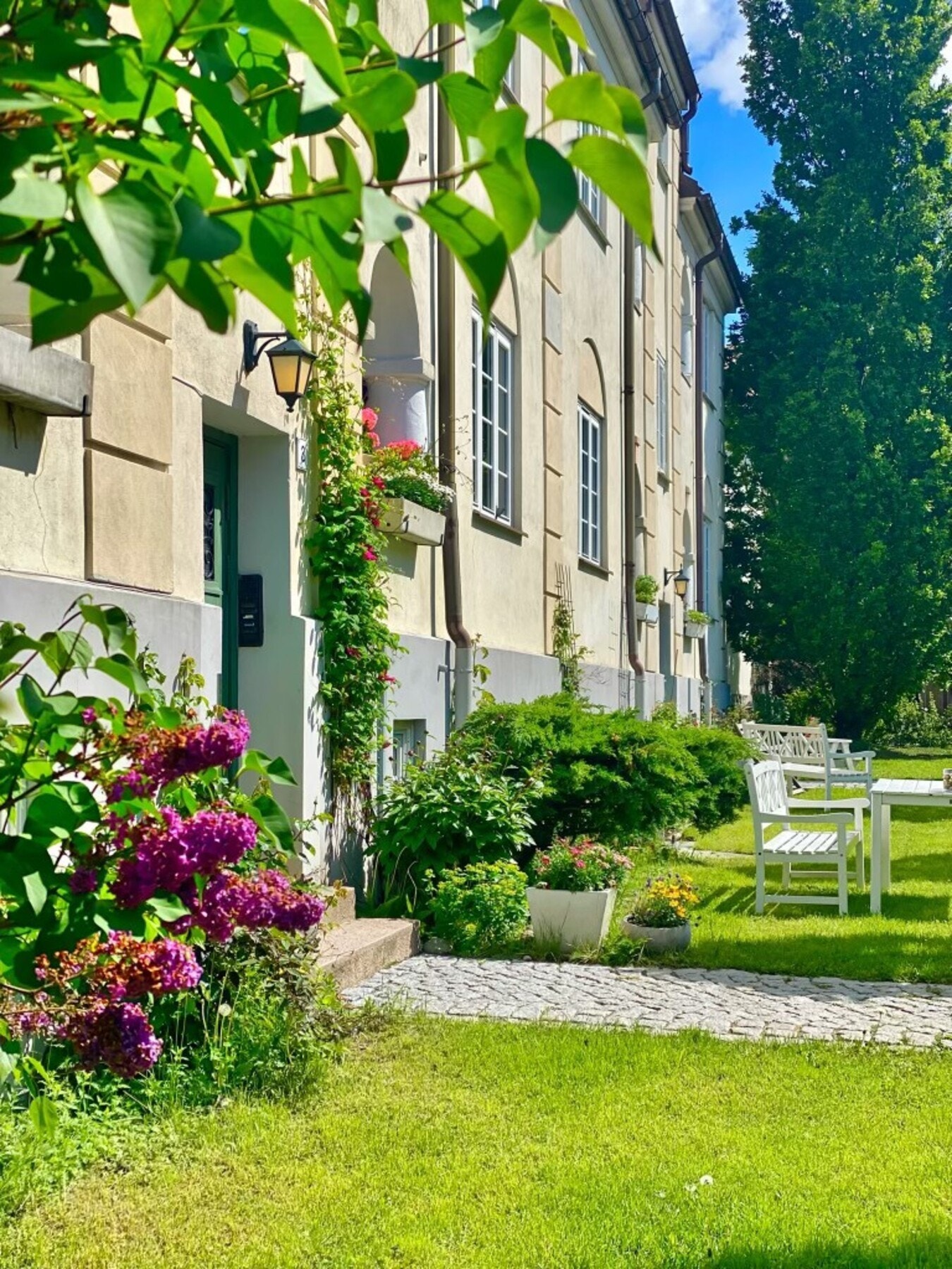 Forhager med flere sittegrupper Galleribilde