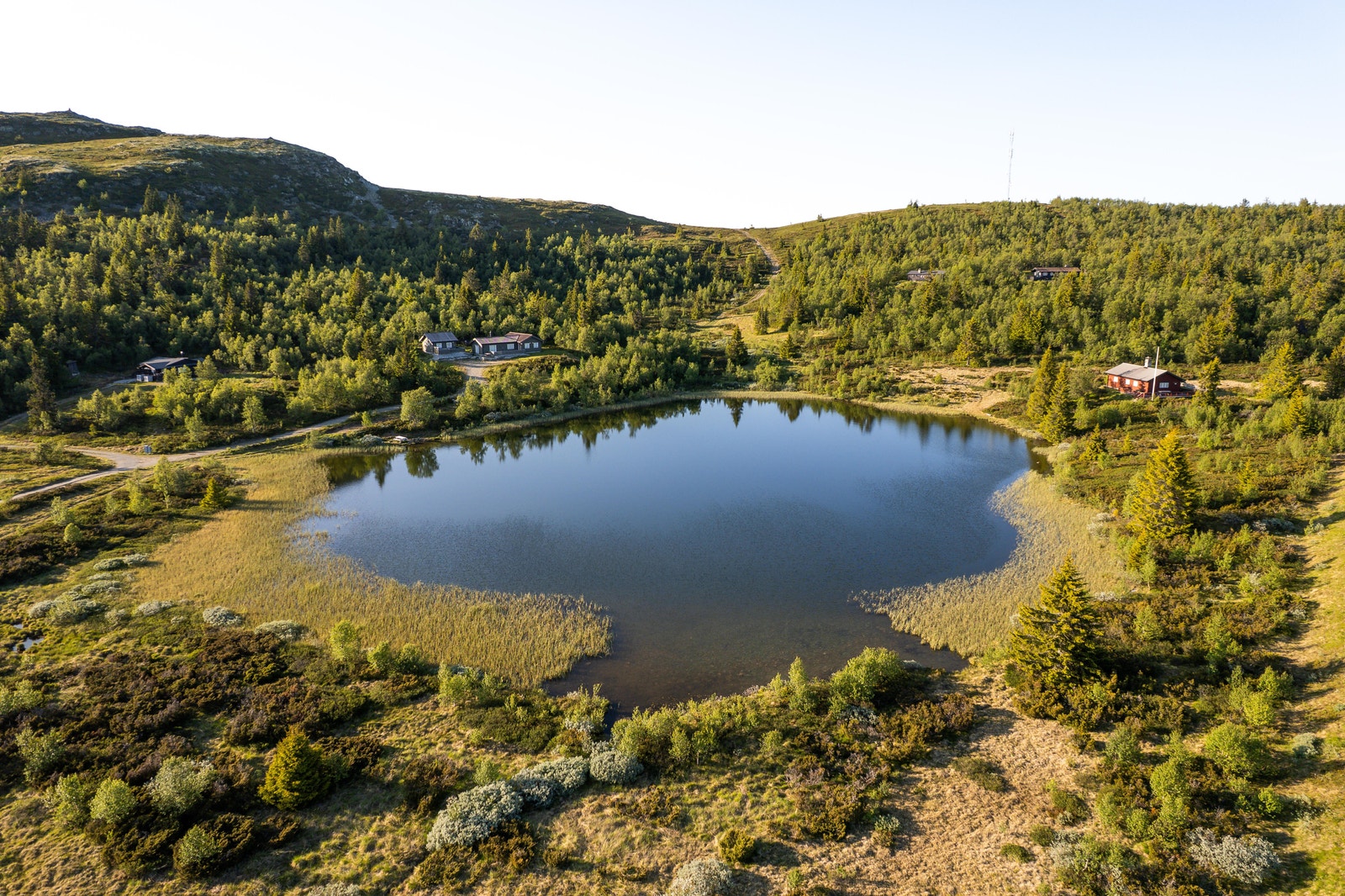 Nærområdet - Venabygdsfjellet Galleribilde