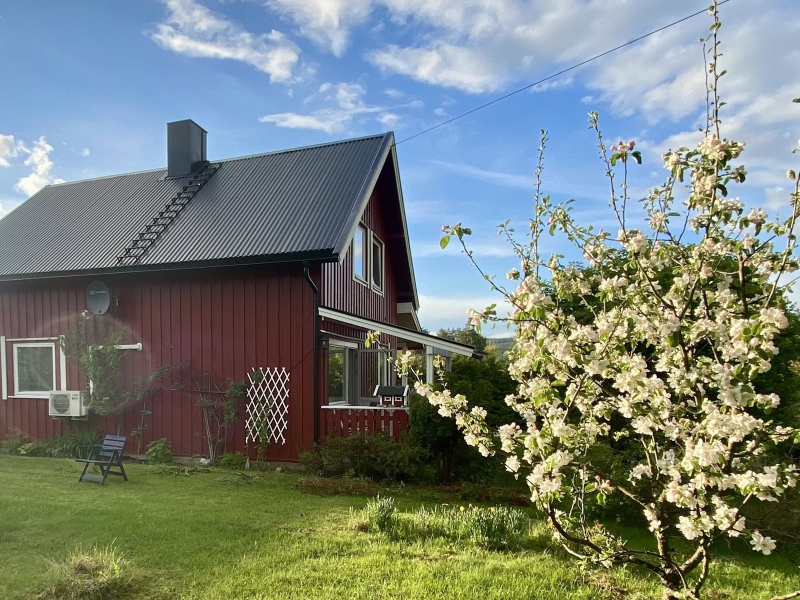 Selgers bilde. Galleribilde