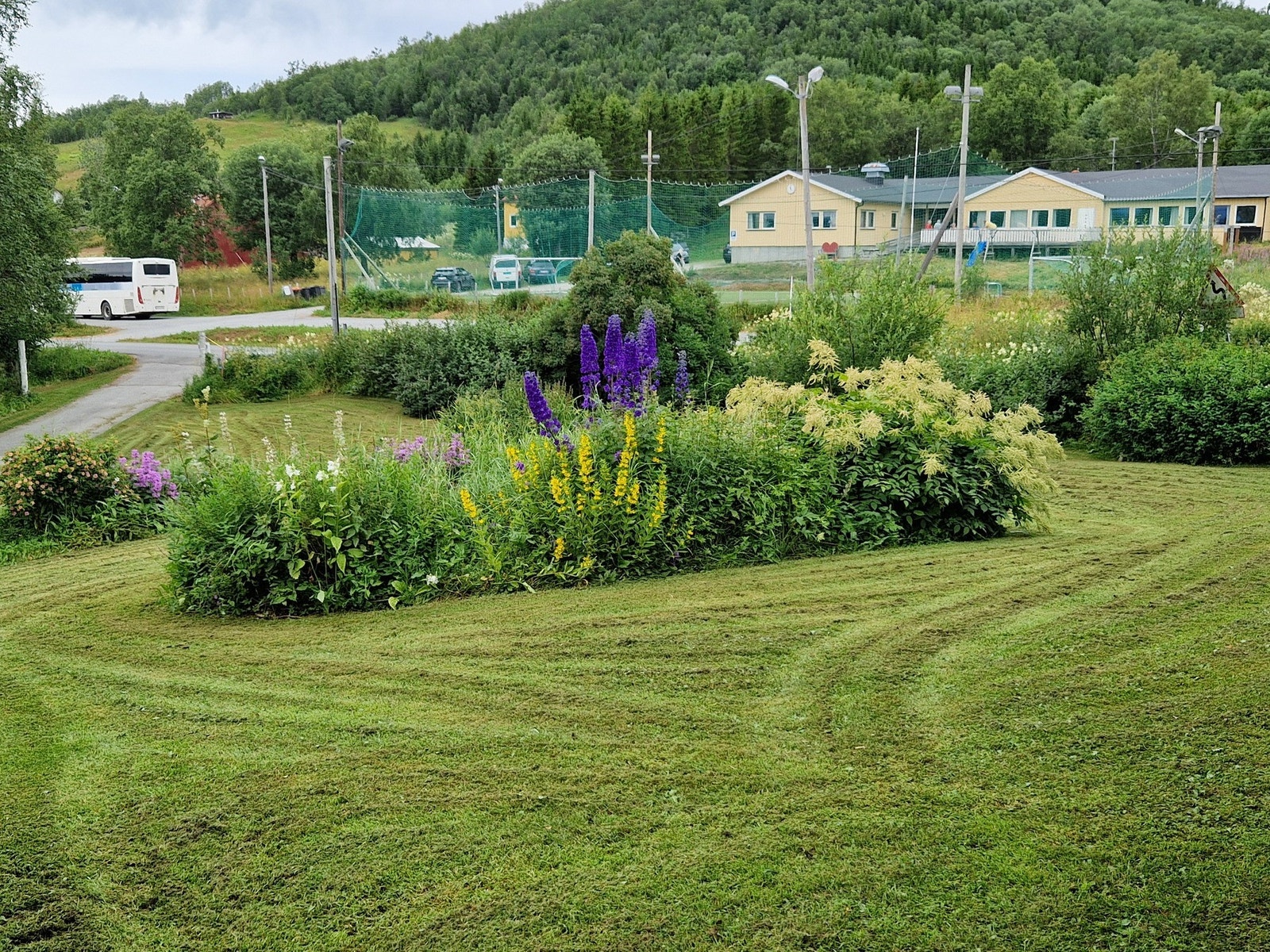 Selgers eget bilde Galleribilde