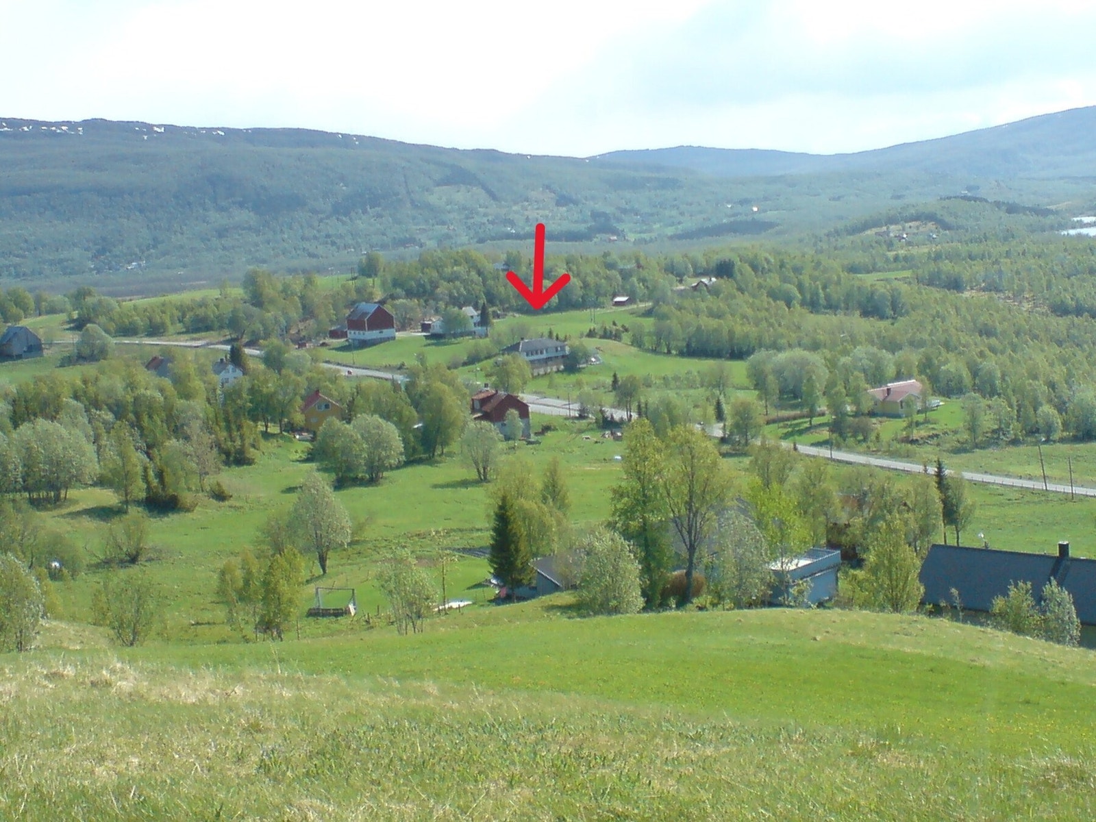 Selgers eget bilde Galleribilde