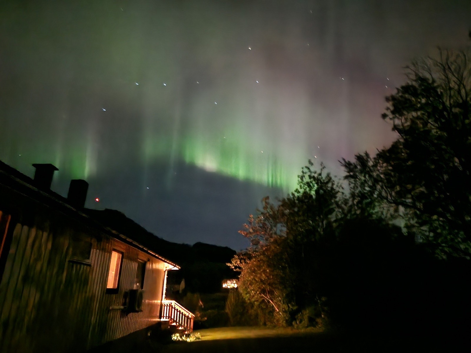 Selgers eget bilde Galleribilde