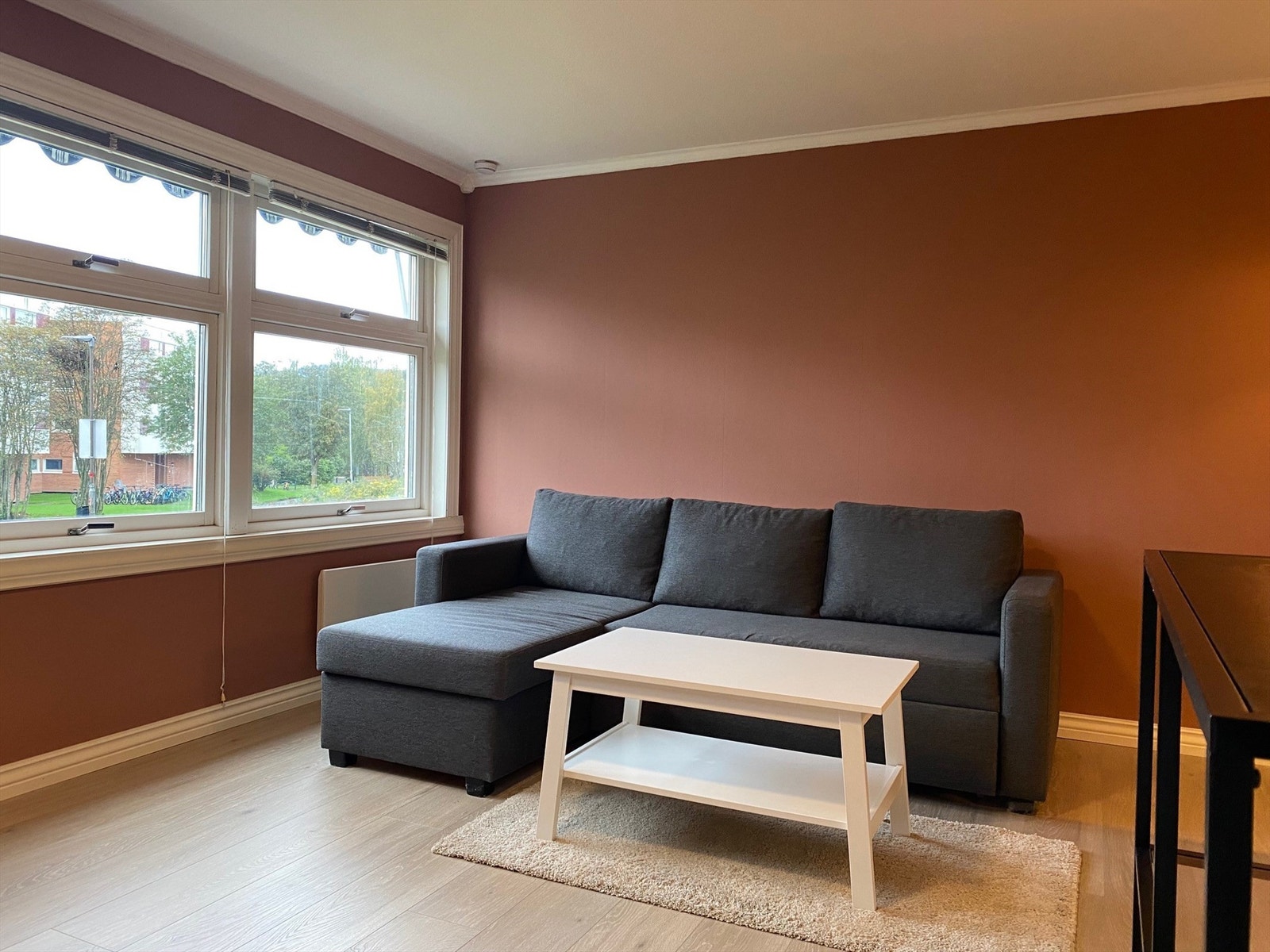 Sovesofa, dvs den kan trekkes ut slik at den blir en seng, følger med. Galleribilde