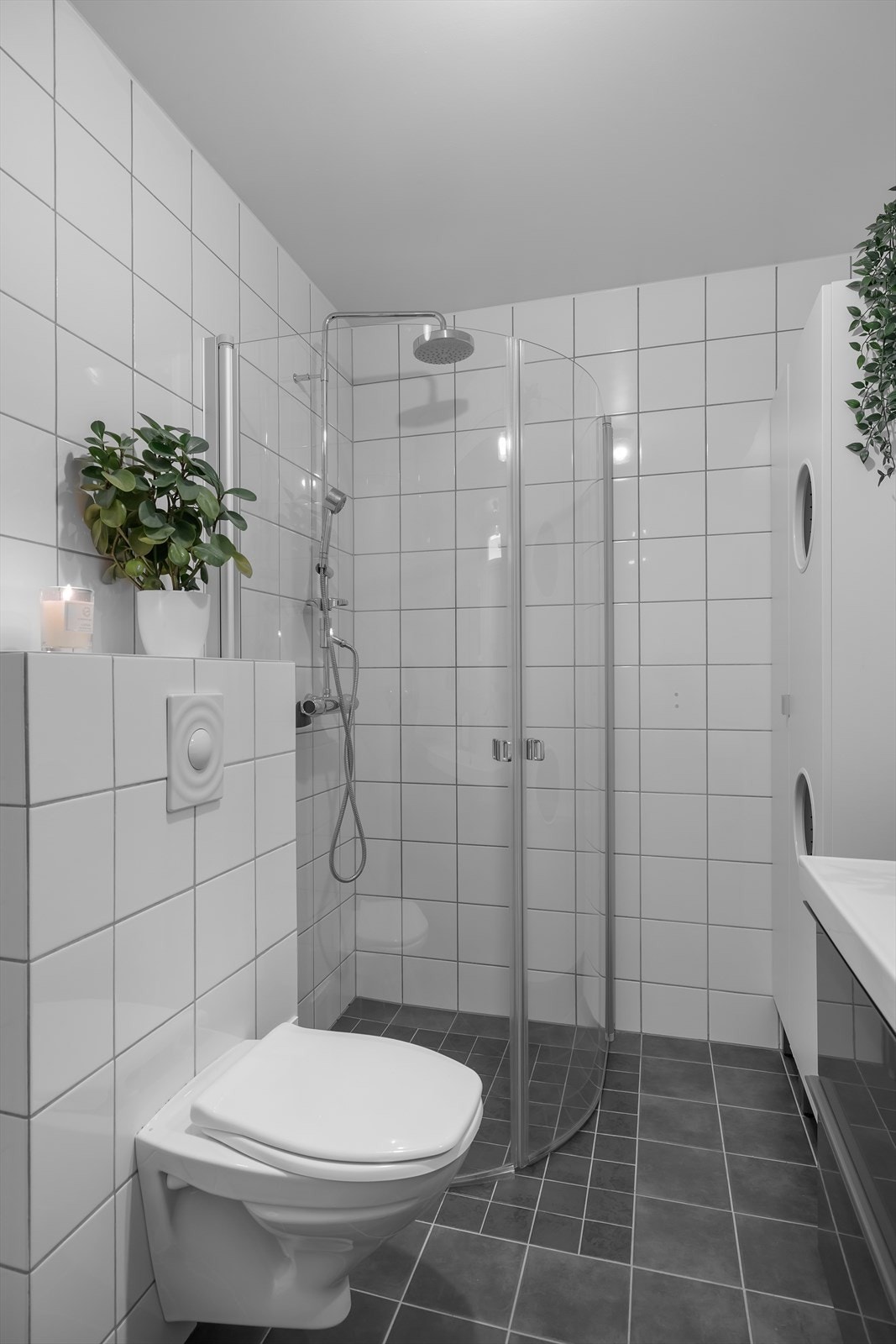 IW0A3576.jpg Galleribilde