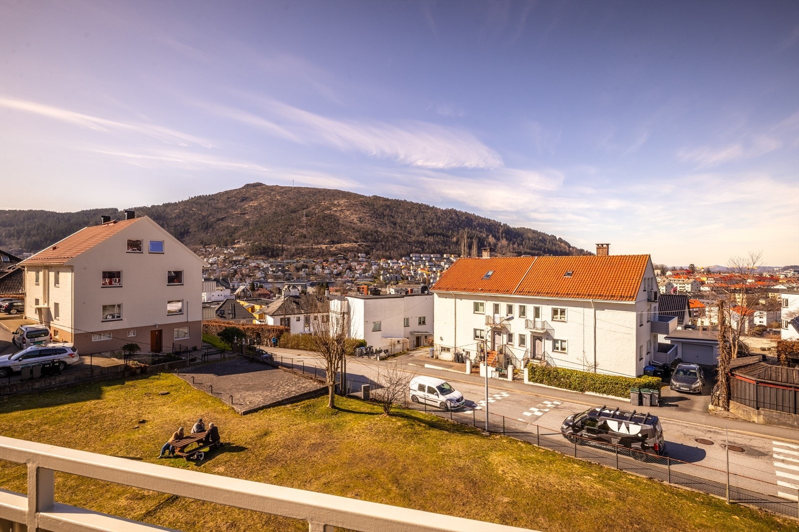 Gressplen i front er felles for laget Galleribilde