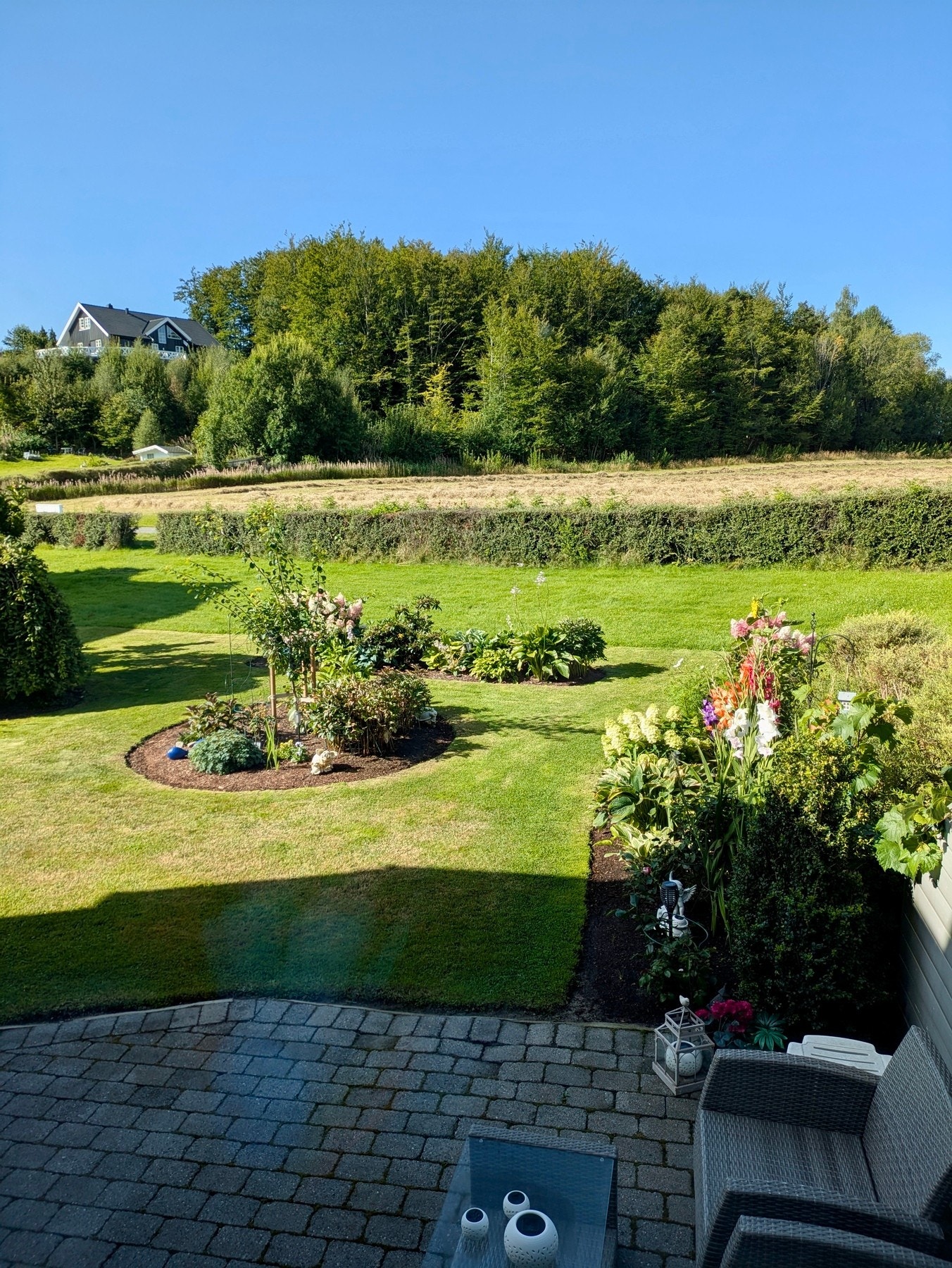 Selgers bilde fra sommerstid - hvor man ser hva som venter deg når våren er forbi Galleribilde
