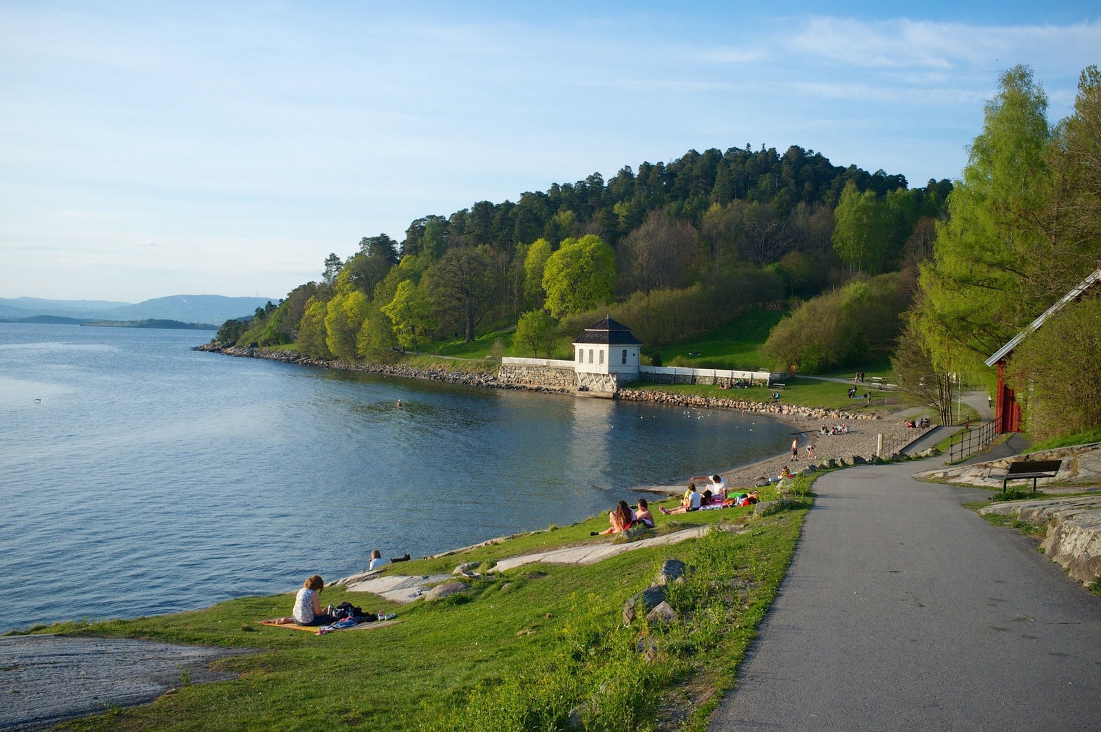 Stranden i gangavstand gjennom skogen. Galleribilde