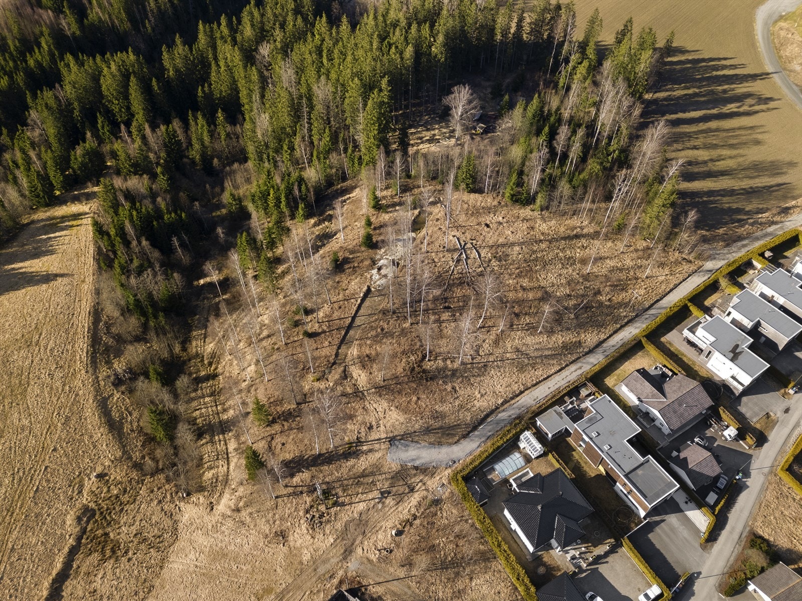 Dronefoto Galleribilde