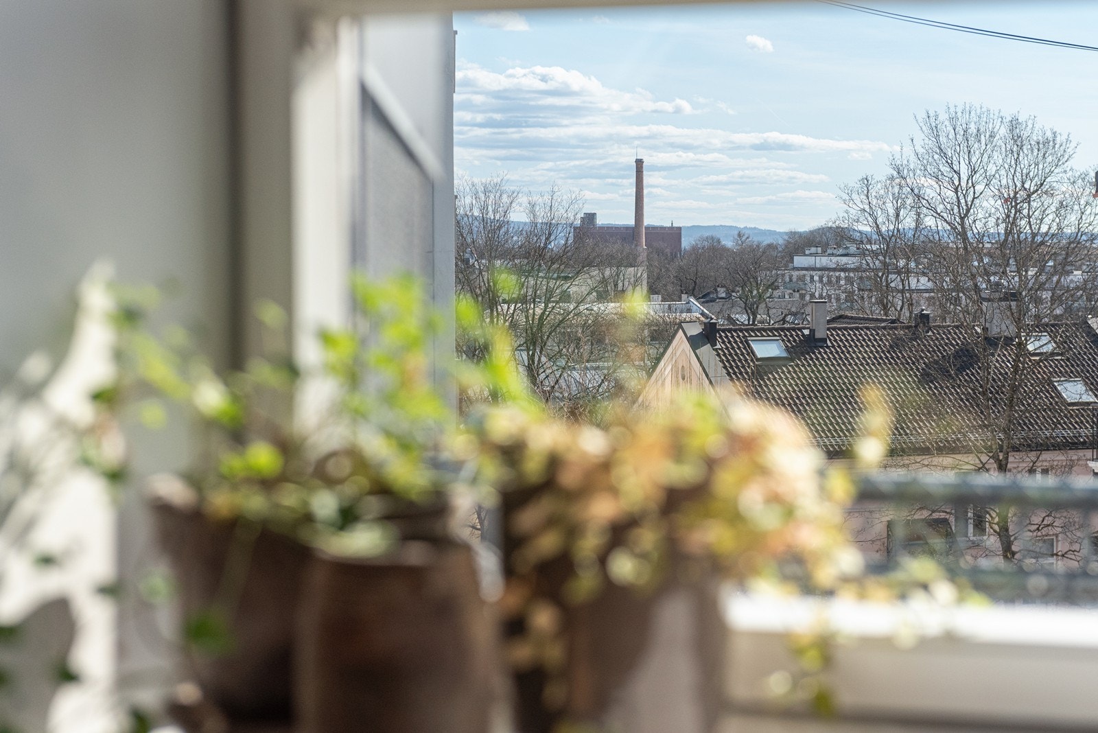 Utsyn fra leiligheten Galleribilde