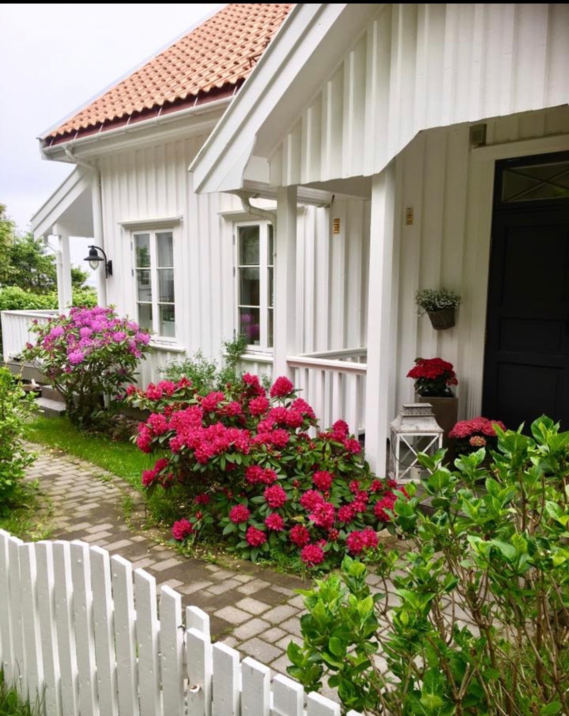 Det bugner av flotte prydbusker, blomster og stauder i hagen. (Foto: Selgers private bilder) Galleribilde