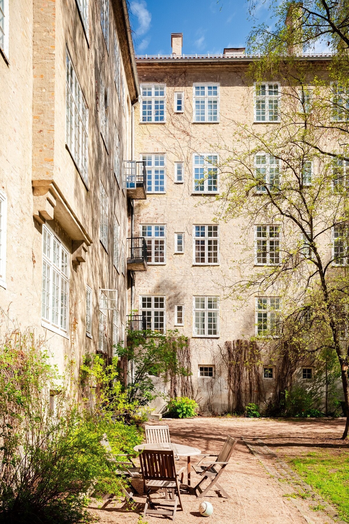 Våren varsles med vakker sang fra svarttrost i bakgården. Galleribilde