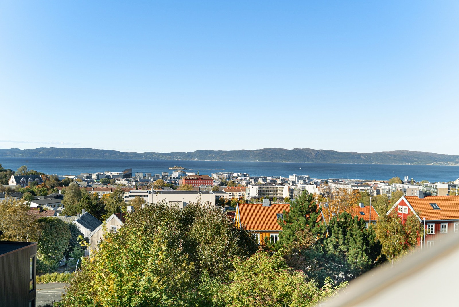 Velkommen på visning! Galleribilde
