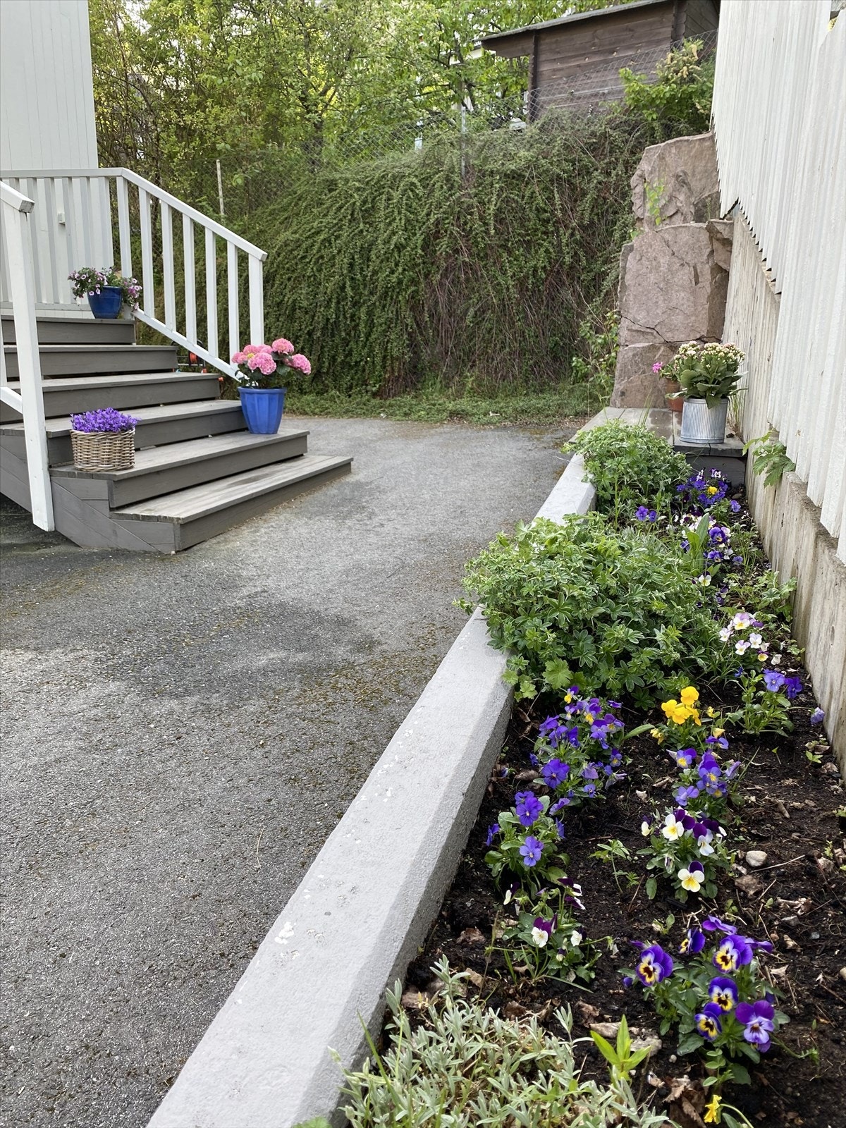 Hyggelig blomsterbed ved inngangen. Galleribilde