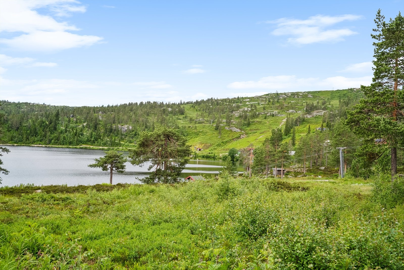 Sandvann er også fint om sommerstid og her kan du padle kano og prøve fiskelykken Galleribilde