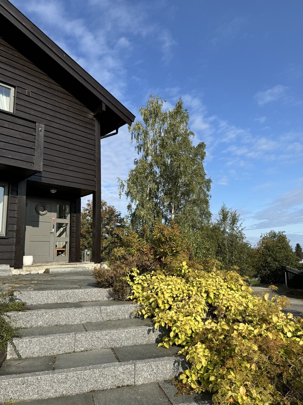 Selgers private bilder. Galleribilde