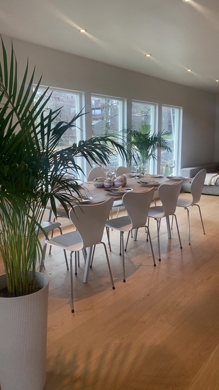 Påskestemning - Selgers bilde. Galleribilde