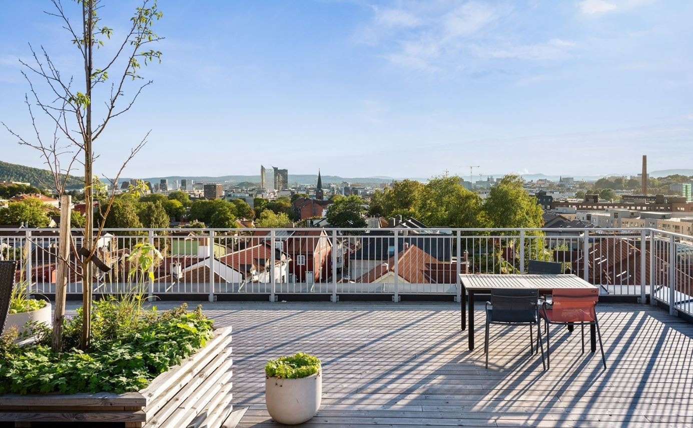 Utsikten fra felles takterrasse. Galleribilde