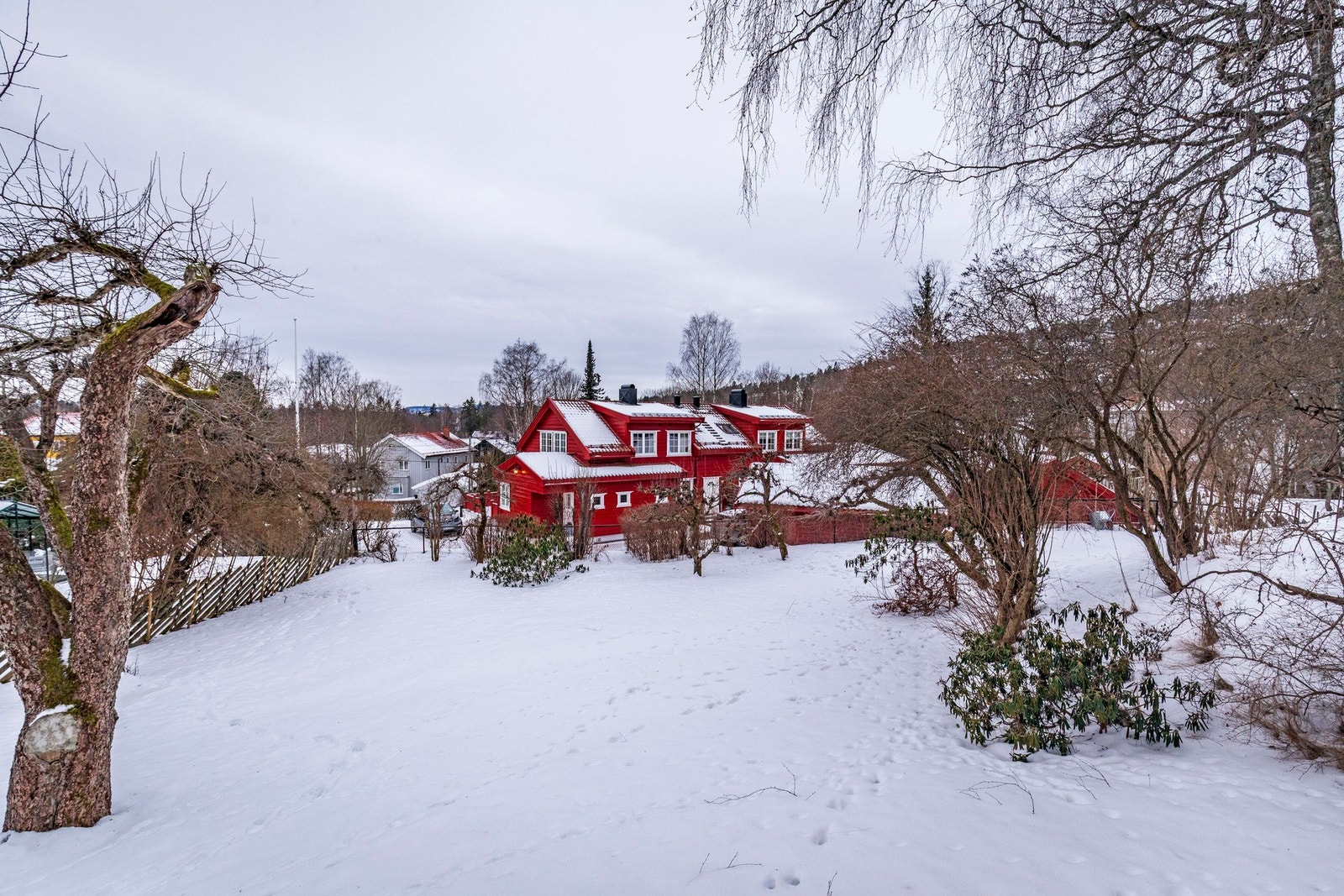 Hagen på vinterstid. Galleribilde