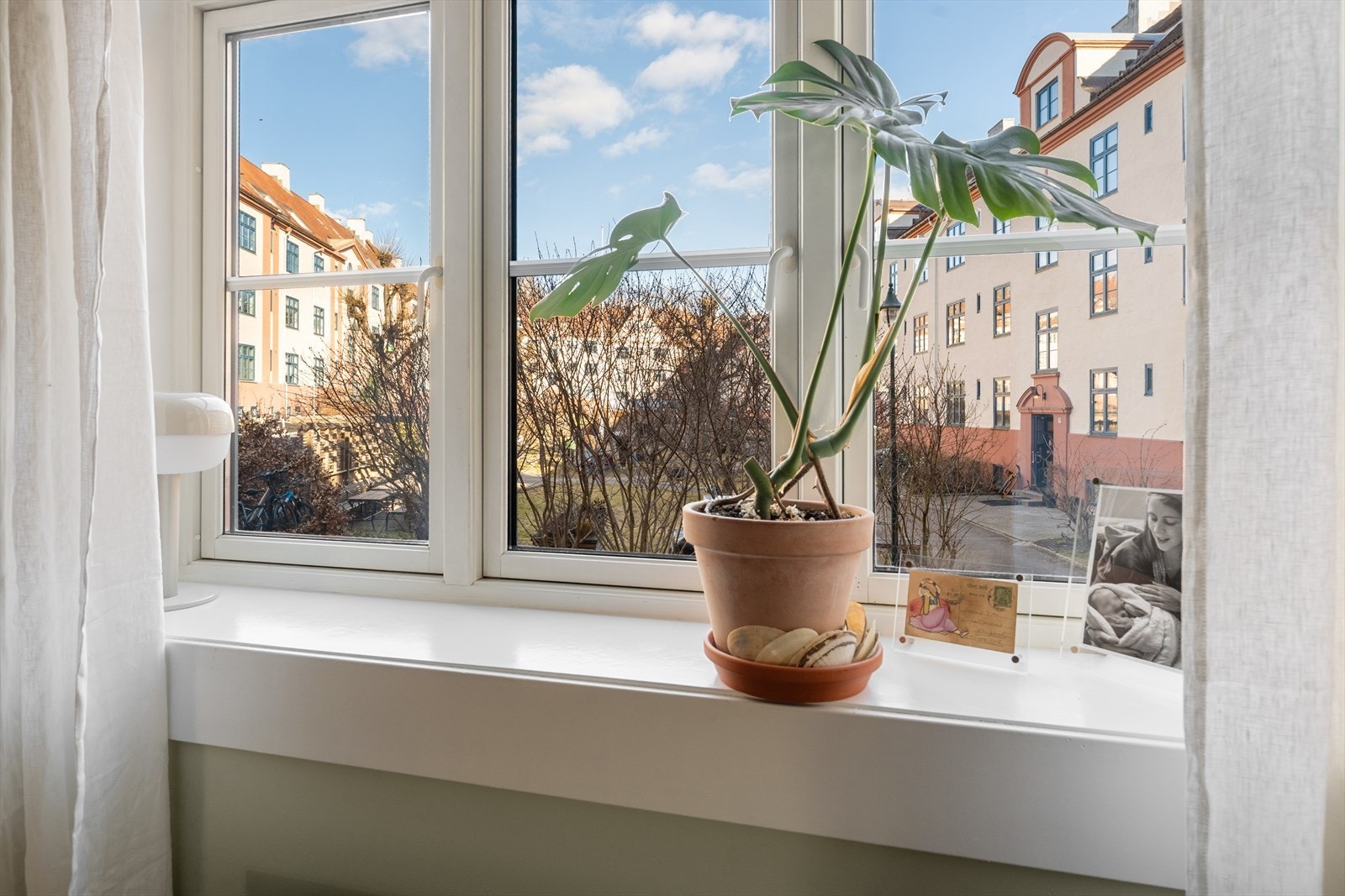 Her våkner man til flott utsyn mot den frodige bakgårdshagen Galleribilde