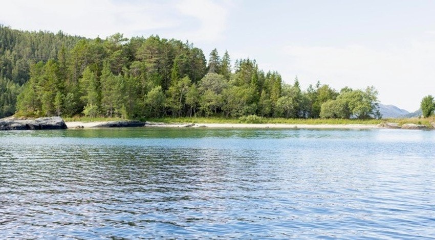 Sørsalten Galleribilde