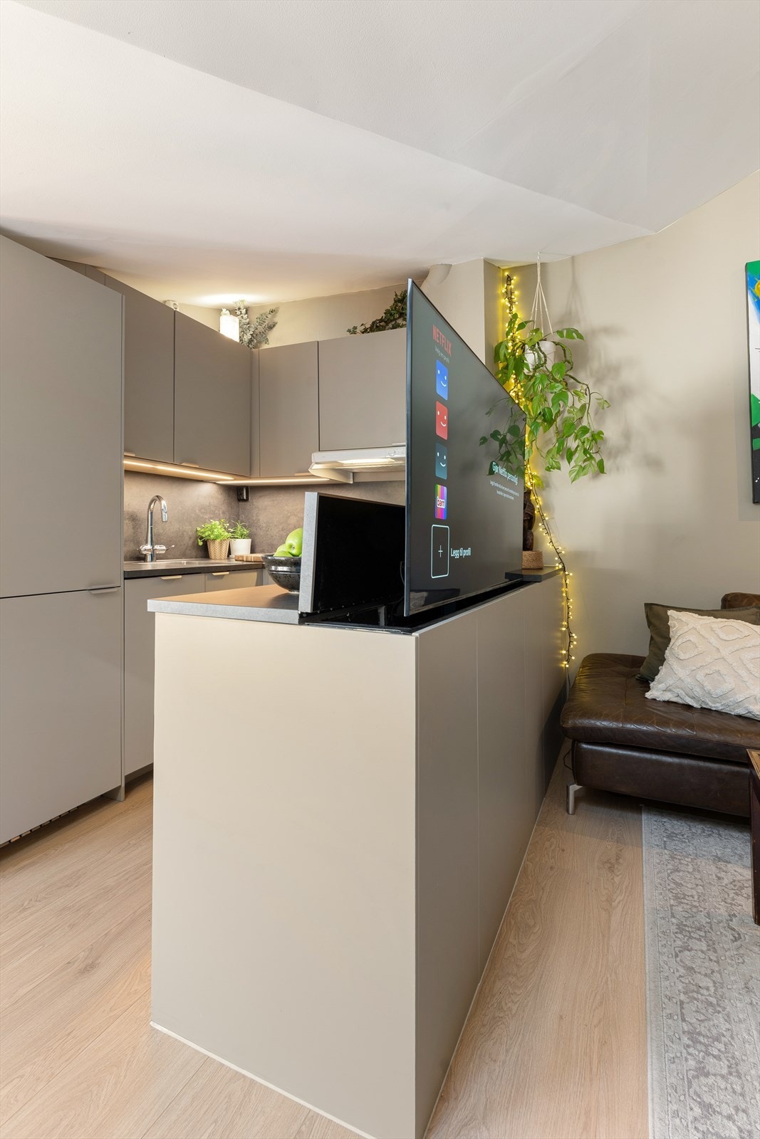 TV medfølger salget. Galleribilde