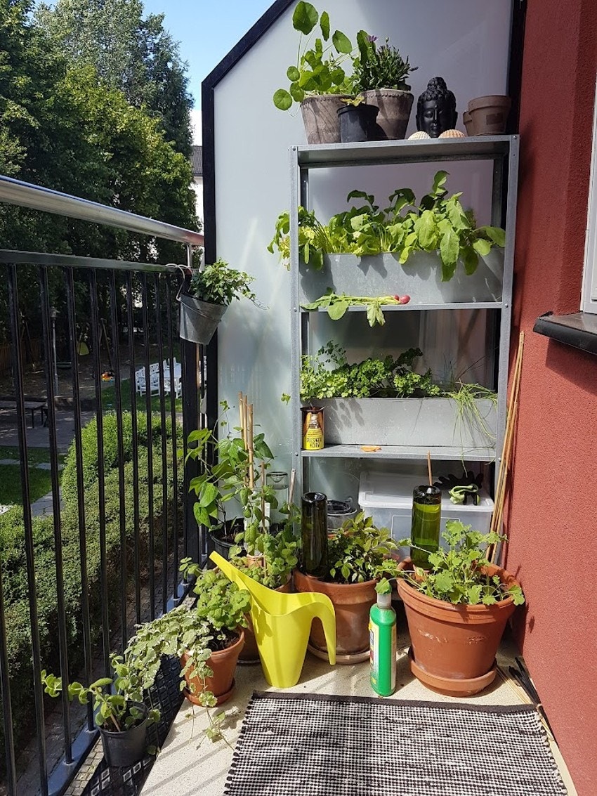 Balkongen på sommeren. Privat foto. Galleribilde