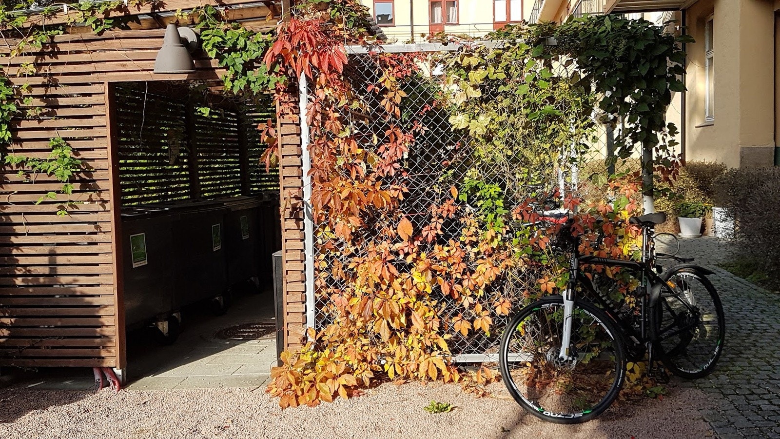 Bakgård. Privat foto. Galleribilde