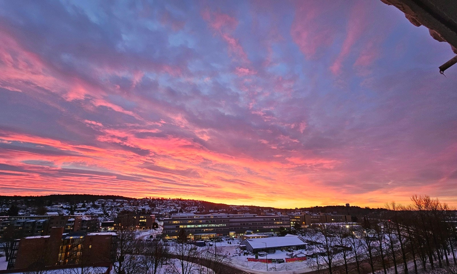 Utsikt mot Østmarka vinter Galleribilde
