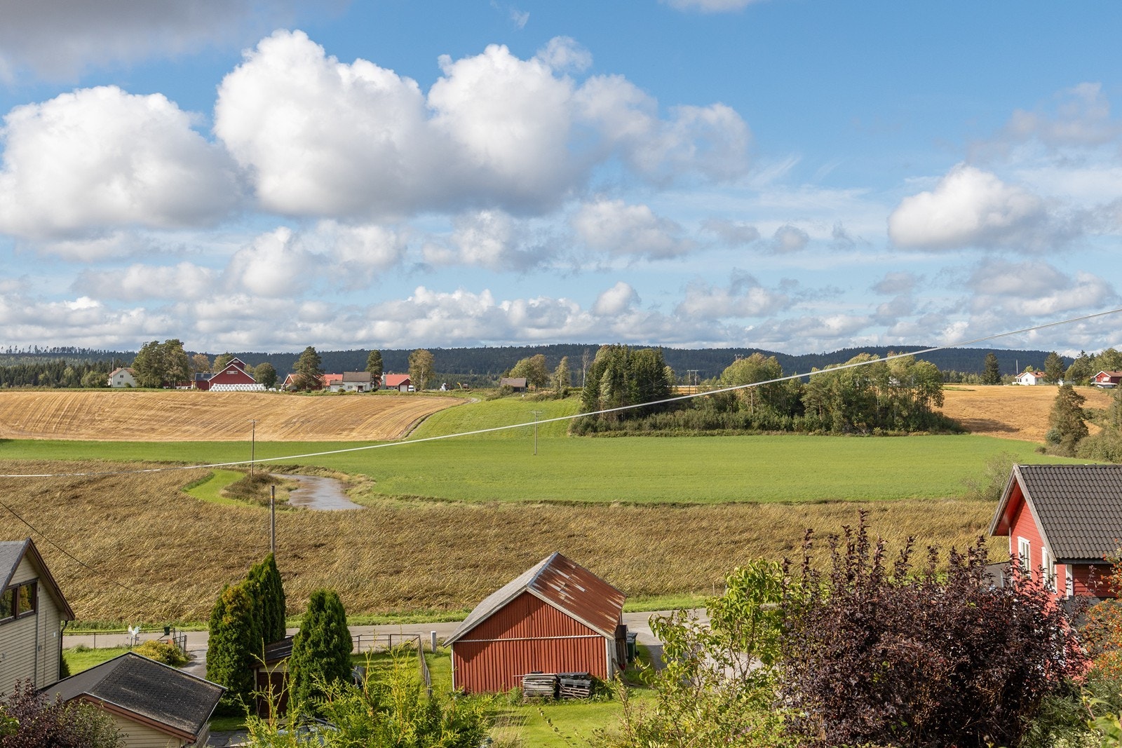 Sommerbilder Galleribilde