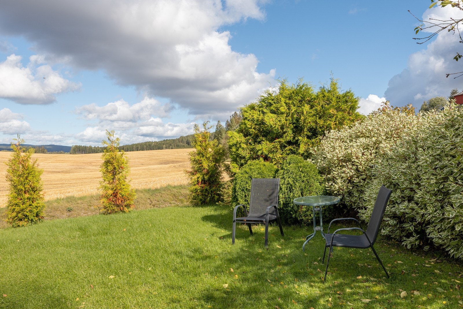 Sommerbilder Galleribilde