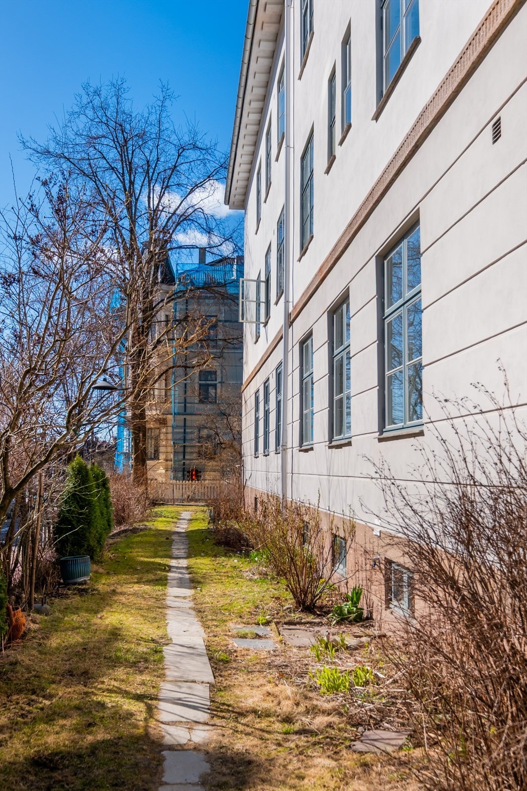 Frodig bakgård. Galleribilde