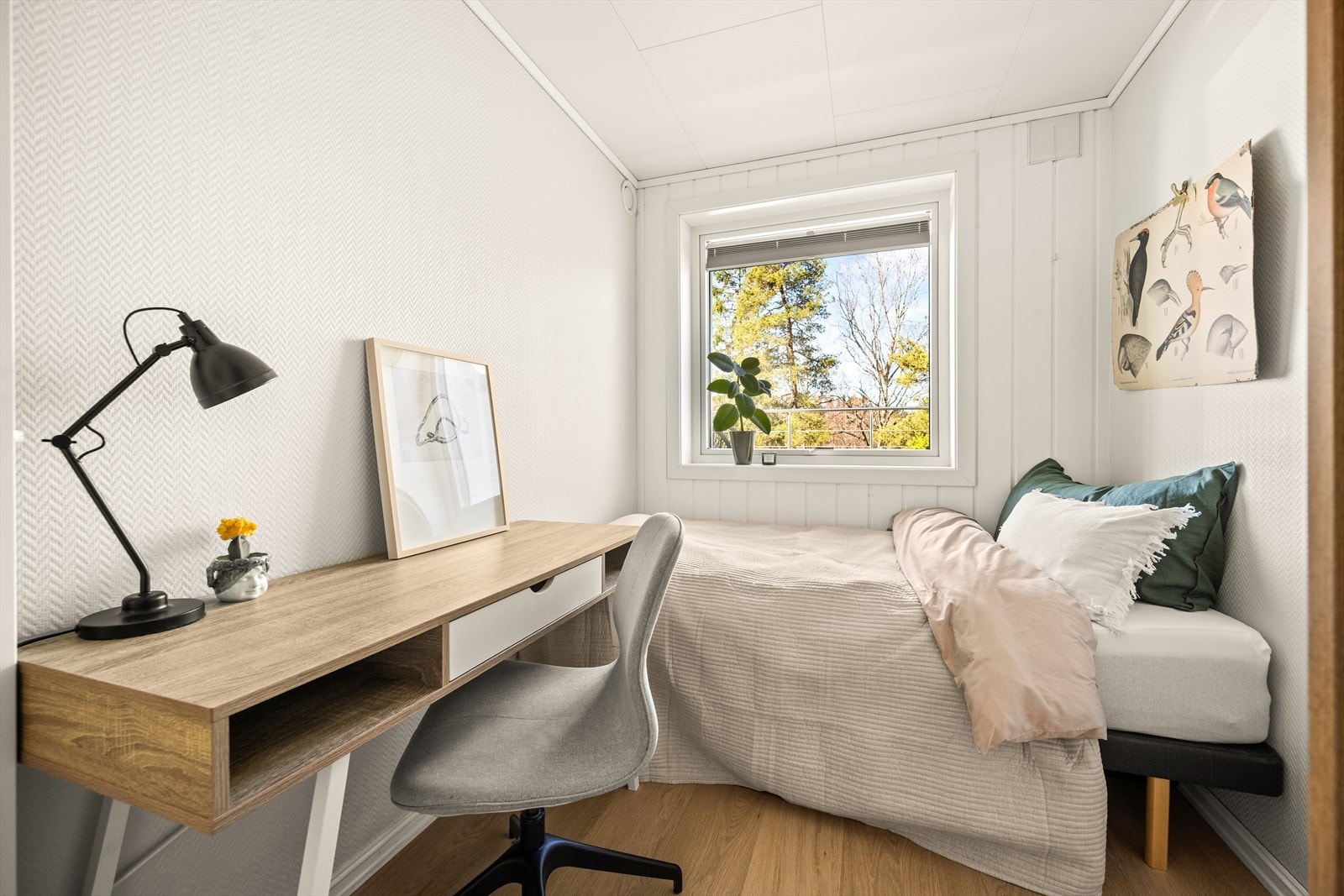 Soverom lll har rikelig med naturlig lysinnslipp. Galleribilde