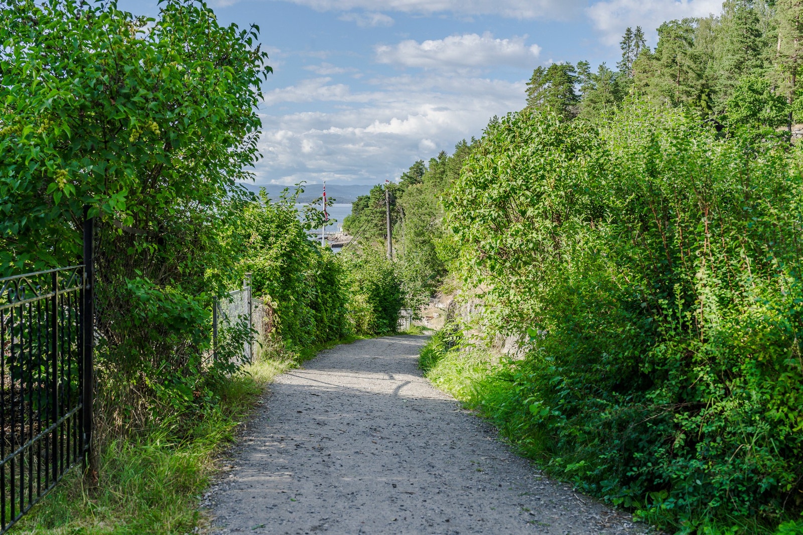 Skogsområdene byr på stier og lysløyper, perfekt for både sommer- og vinteraktiviteter. Galleribilde