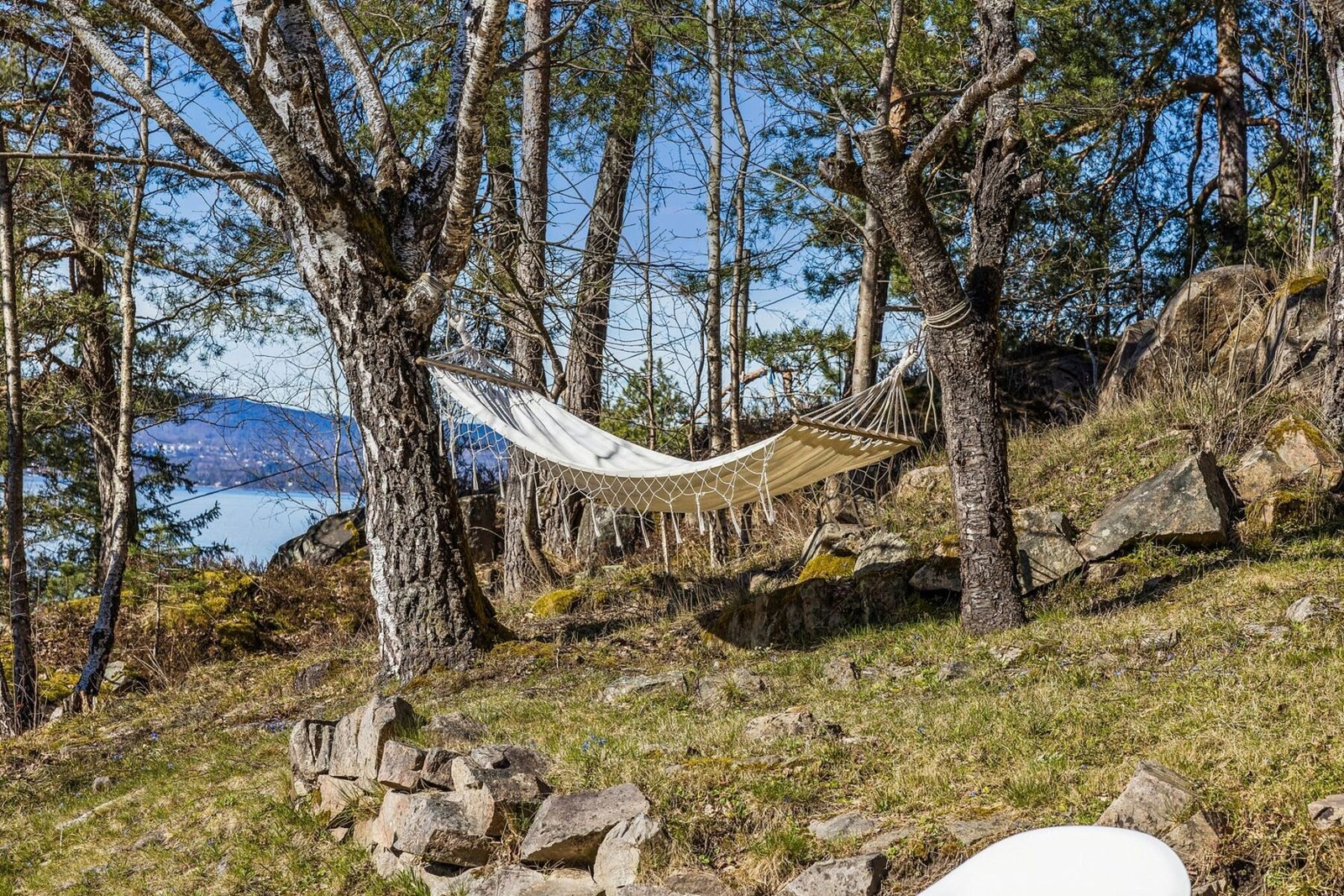 Hengekøye med fjordutsikt - et naturlig hvilested Galleribilde