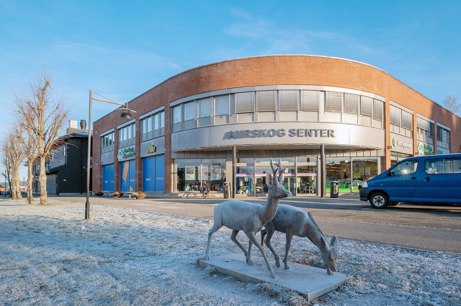 I Aursmoen sentrum ligger Aurskog Senter som har et godt utvalg av butikker, samt helsetjenester, bank og eiendomsmegling. Galleribilde
