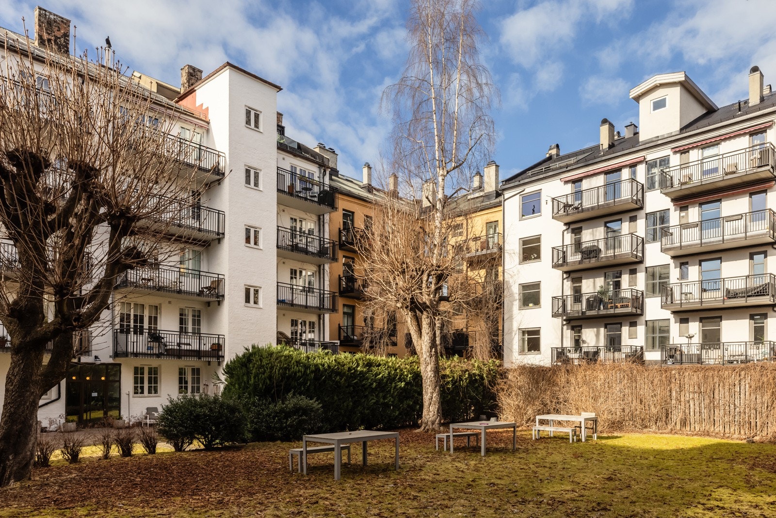 Det er en frodig og idyllisk bakgård for beboerne. Galleribilde