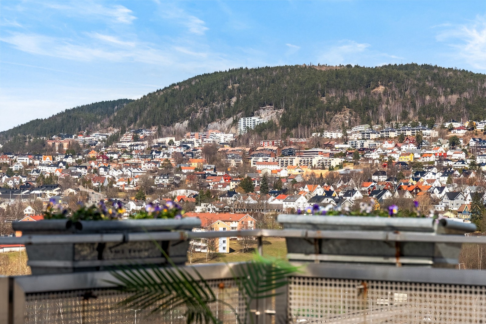 En unik uteplass som løfter bokvaliteten til et nytt nivå. Galleribilde
