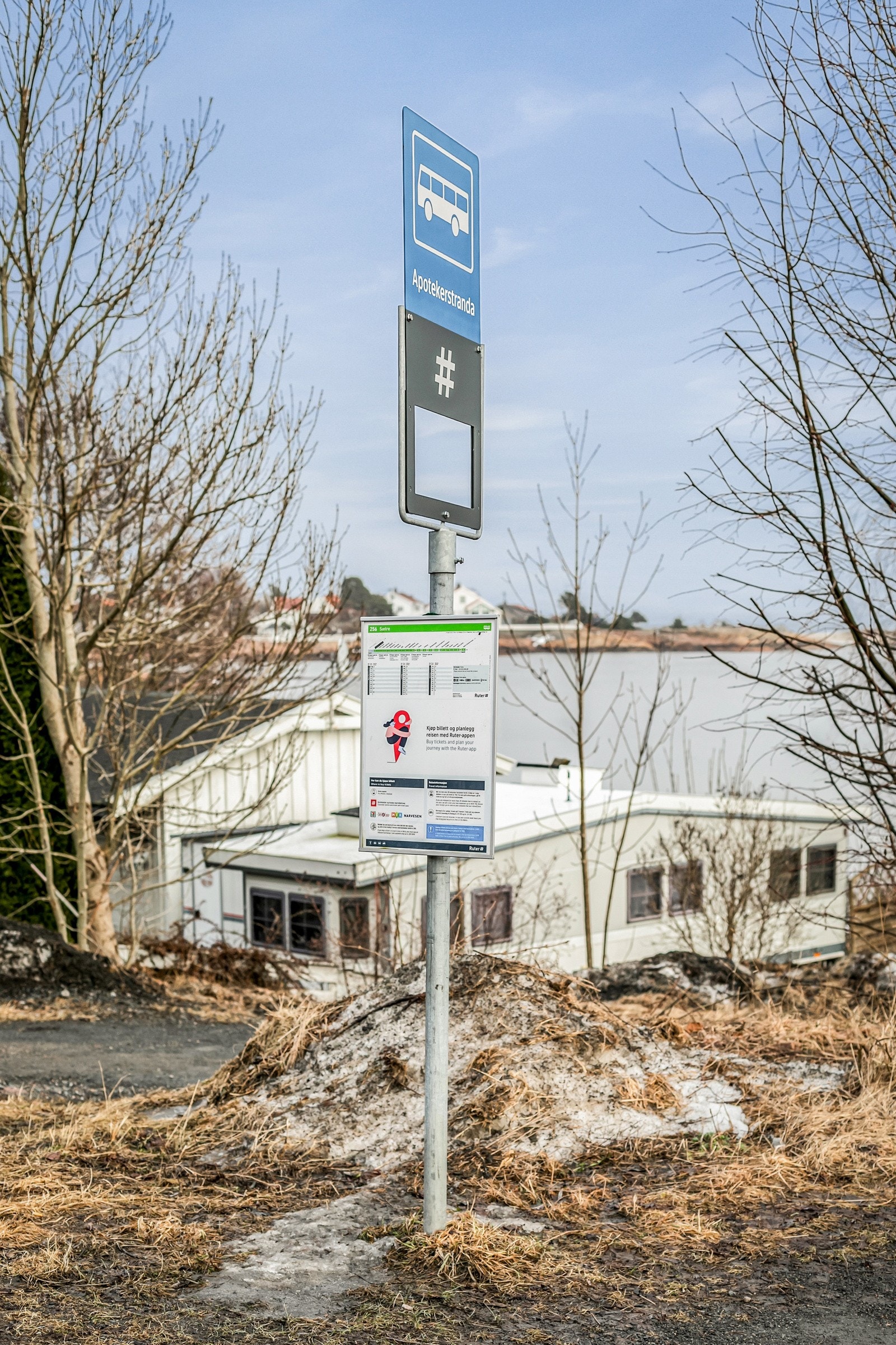 Busstopp i kort gangavstand fra leiligheten. Galleribilde