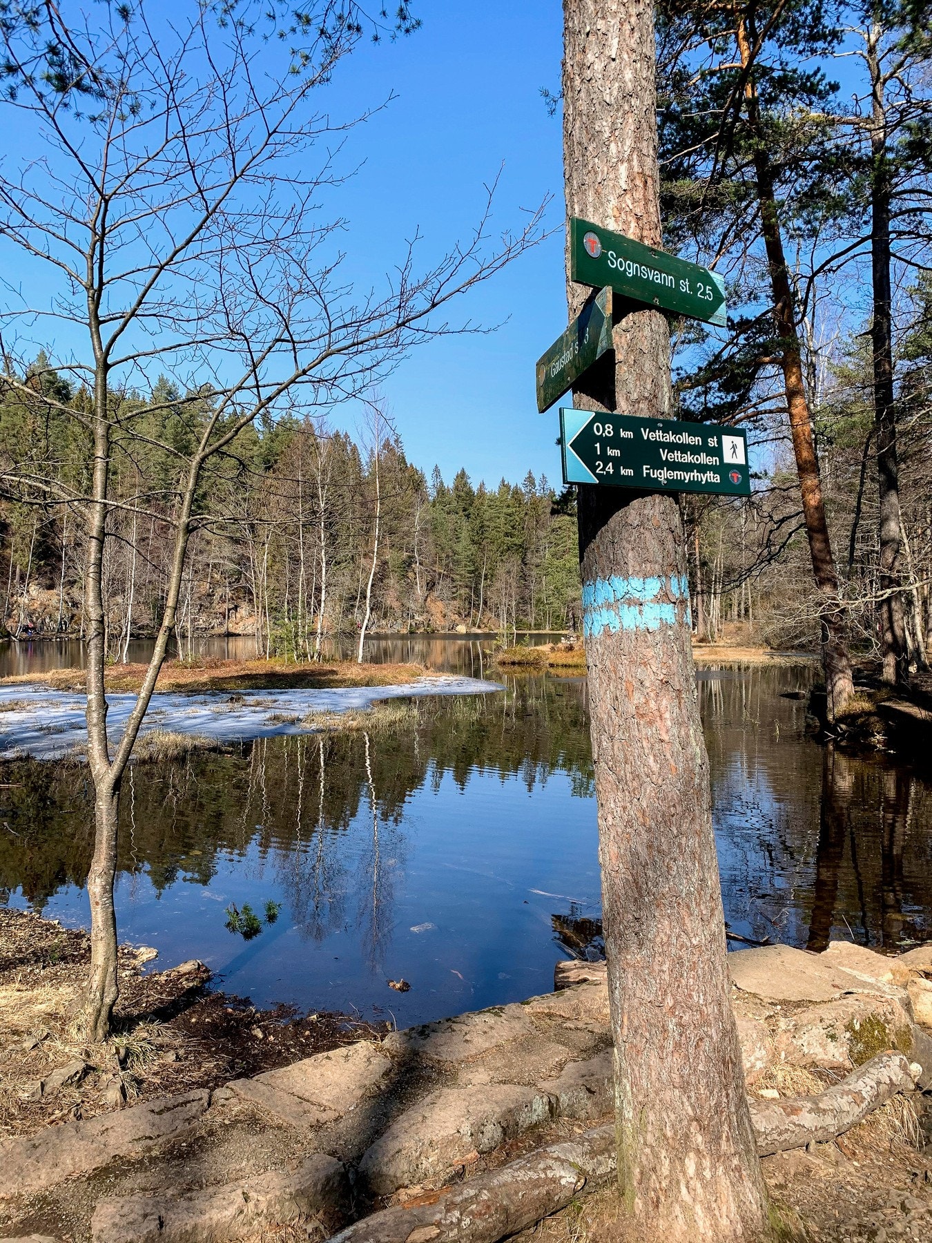Det er kort vei til idylliske Bånntjern, et populært turmål og et deilig sted å bade om sommeren. Galleribilde