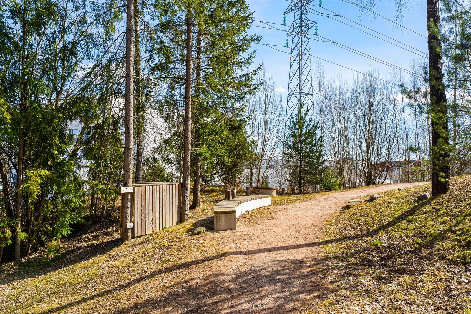 Nærområde - Hundremeterskogen Galleribilde