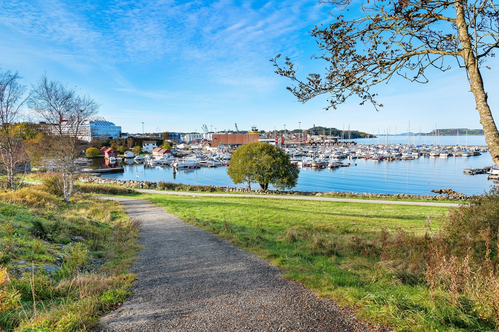 Nærområde. Galleribilde