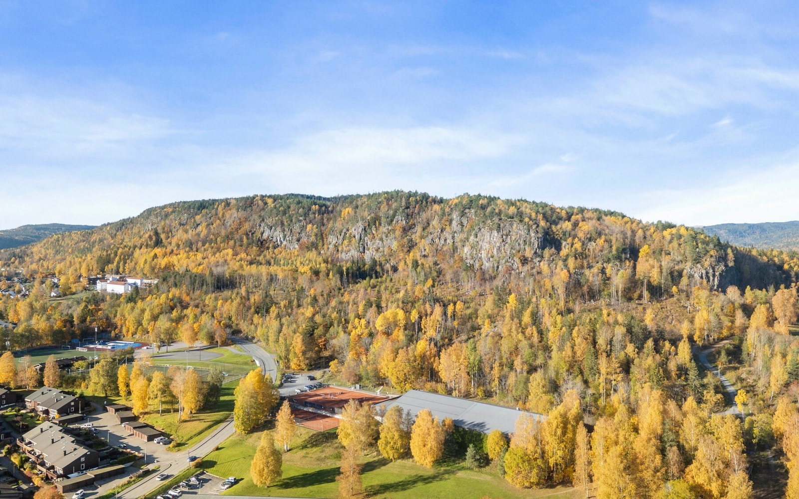 Eineåsen Galleribilde