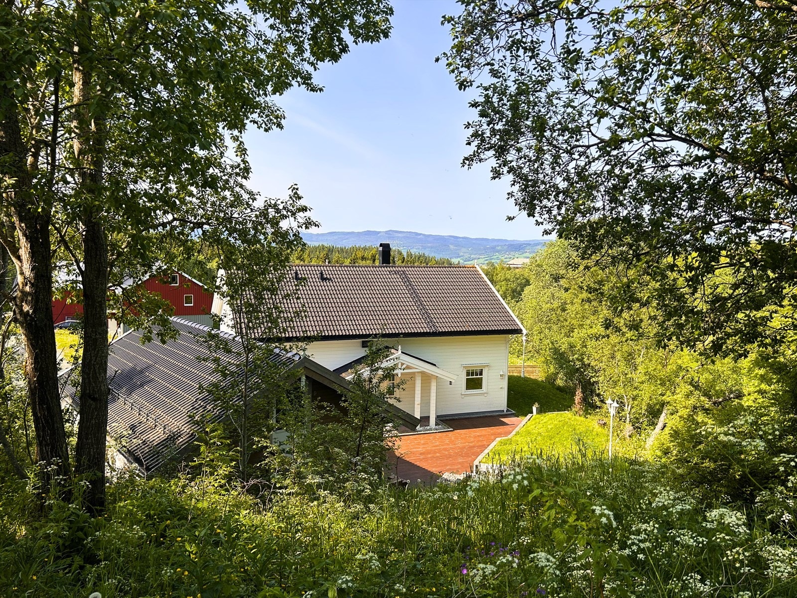 Utebilde sommer Galleribilde