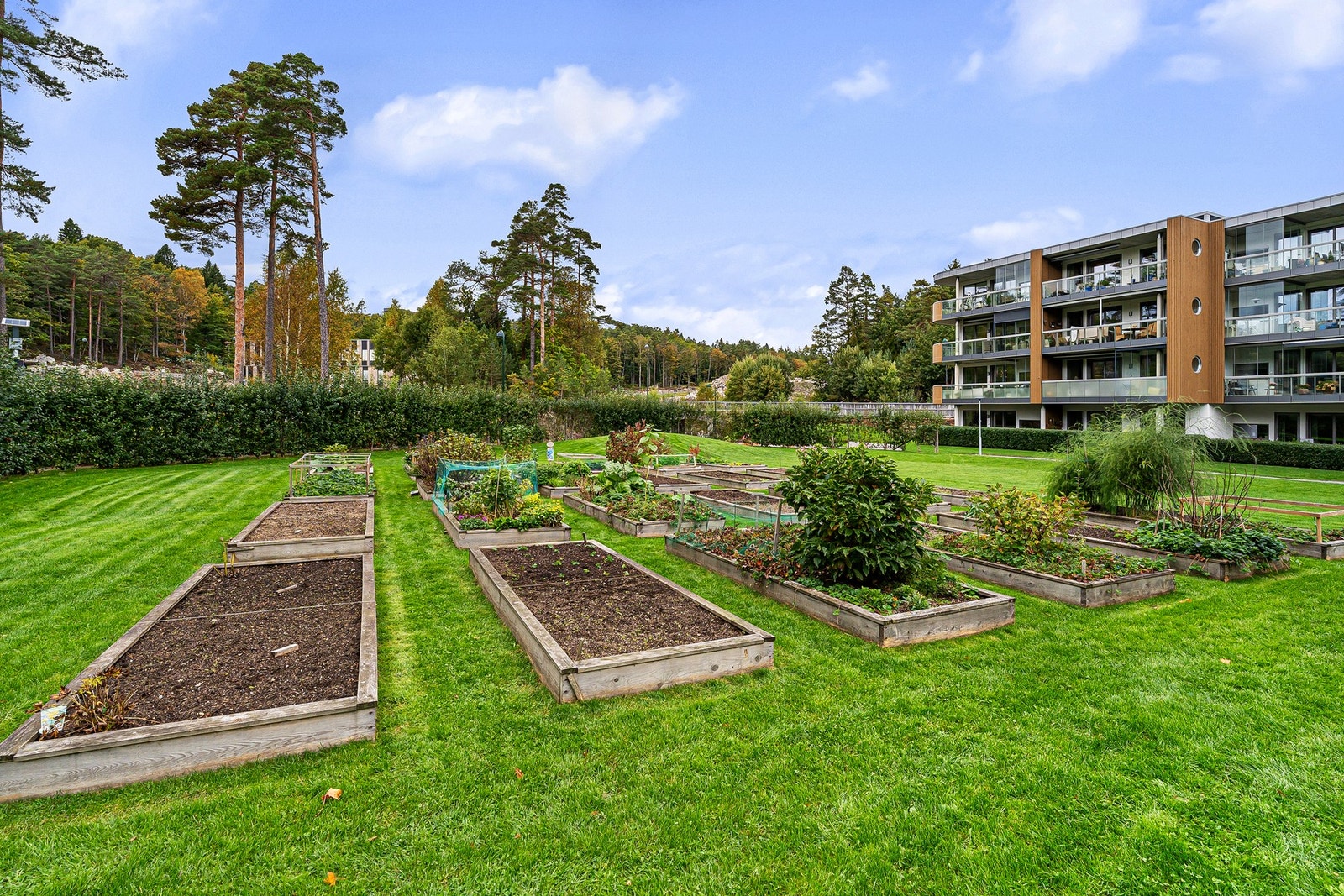 Her finnes det opparbeidede parsellhager hvor beboerne kan dyrke egne grønnsaker, urter og blomster Galleribilde