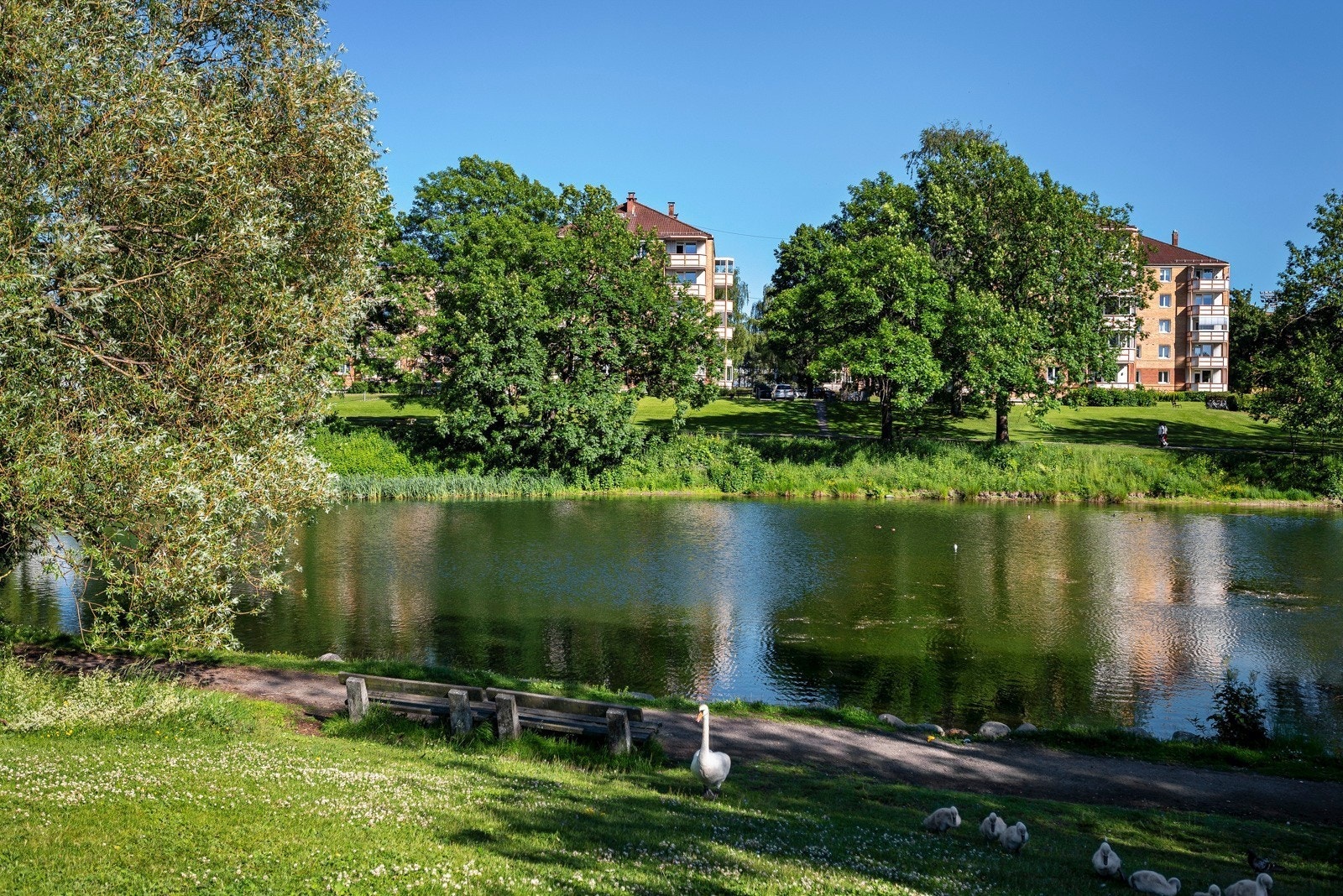 Det er gode turmuligheter i området. Her fra idylliske Hovindammen som ligger i umiddelbar nærhet til leiligheten. Galleribilde
