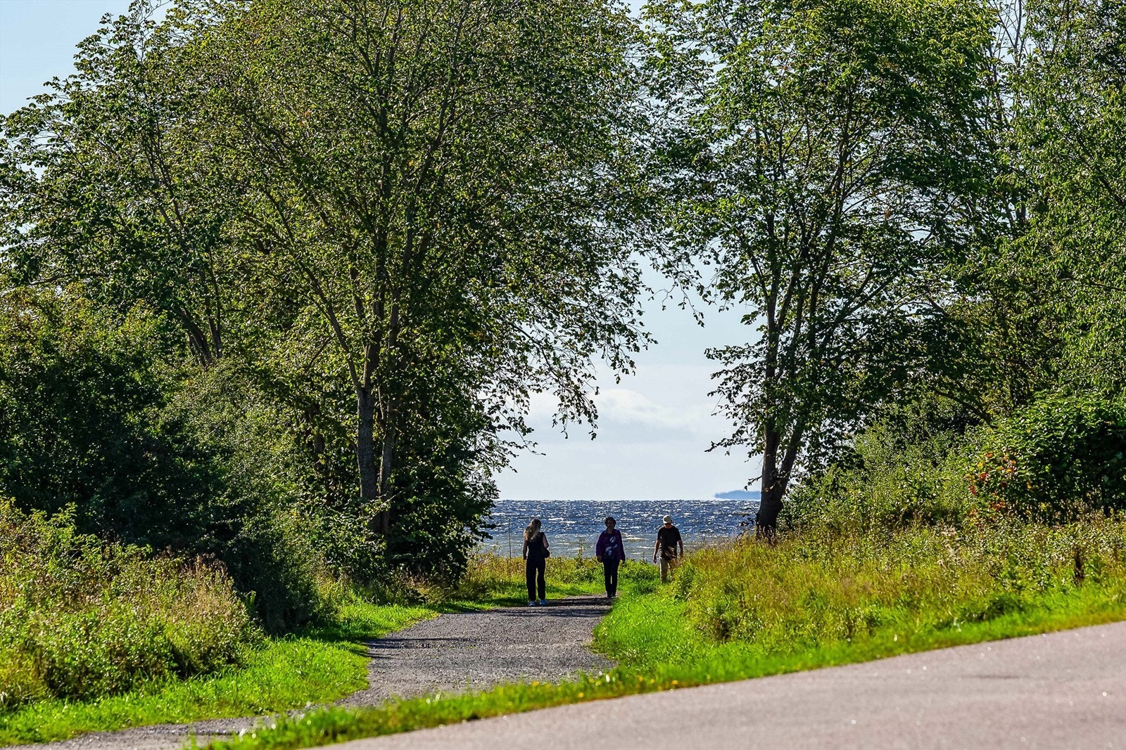 Det frodige og unike landskapsvernområdet omkring Alby er et herlig friluftsområde verdt gjentatte utflukter og egner seg i tillegg godt for hverdagslige treningsturer. Galleribilde