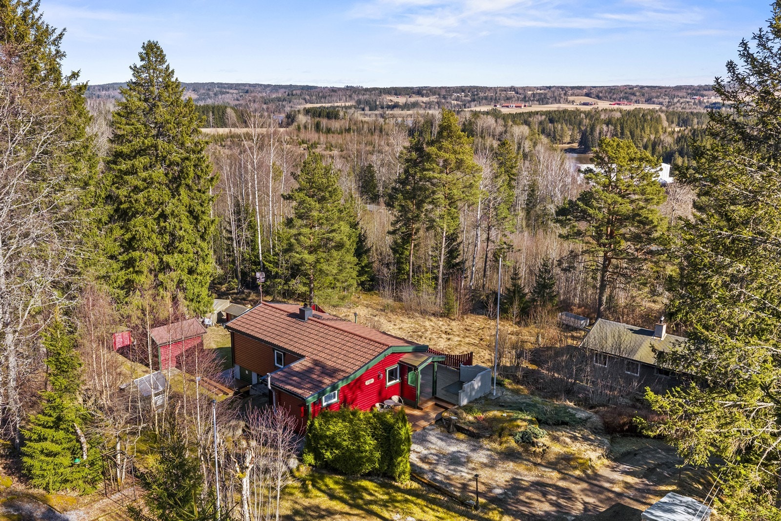 Hyggelig hytteområde med skogen som nærmeste nabo. Galleribilde