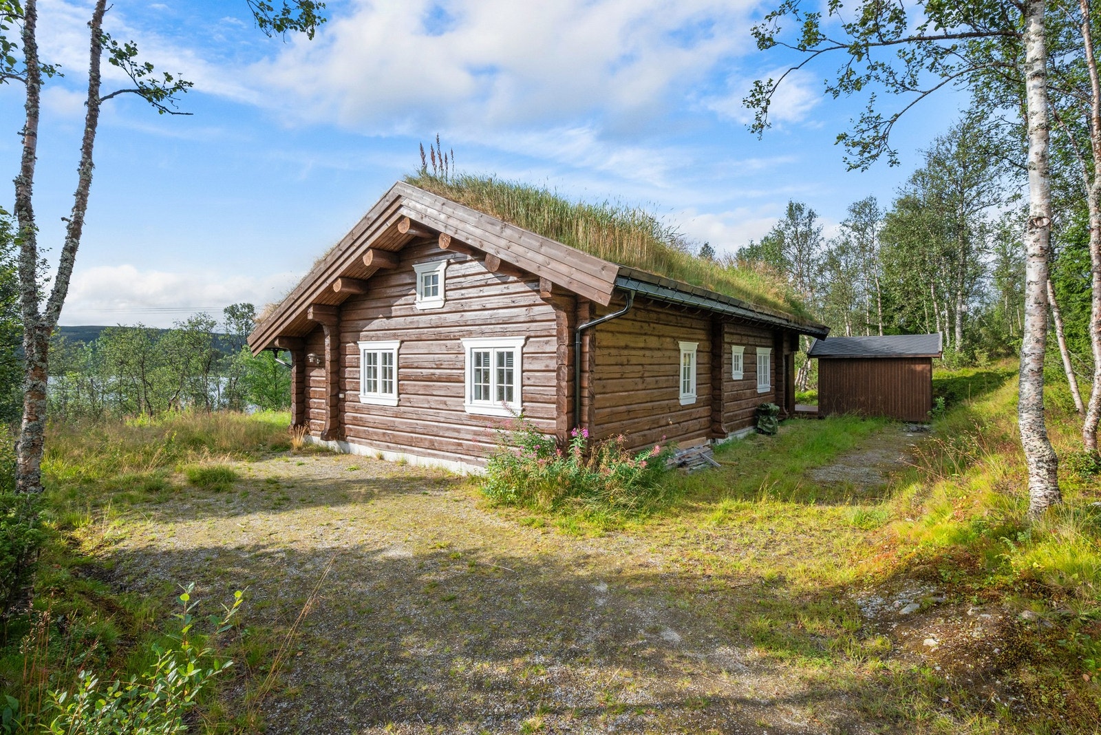 God plass til parkering av biler. Galleribilde