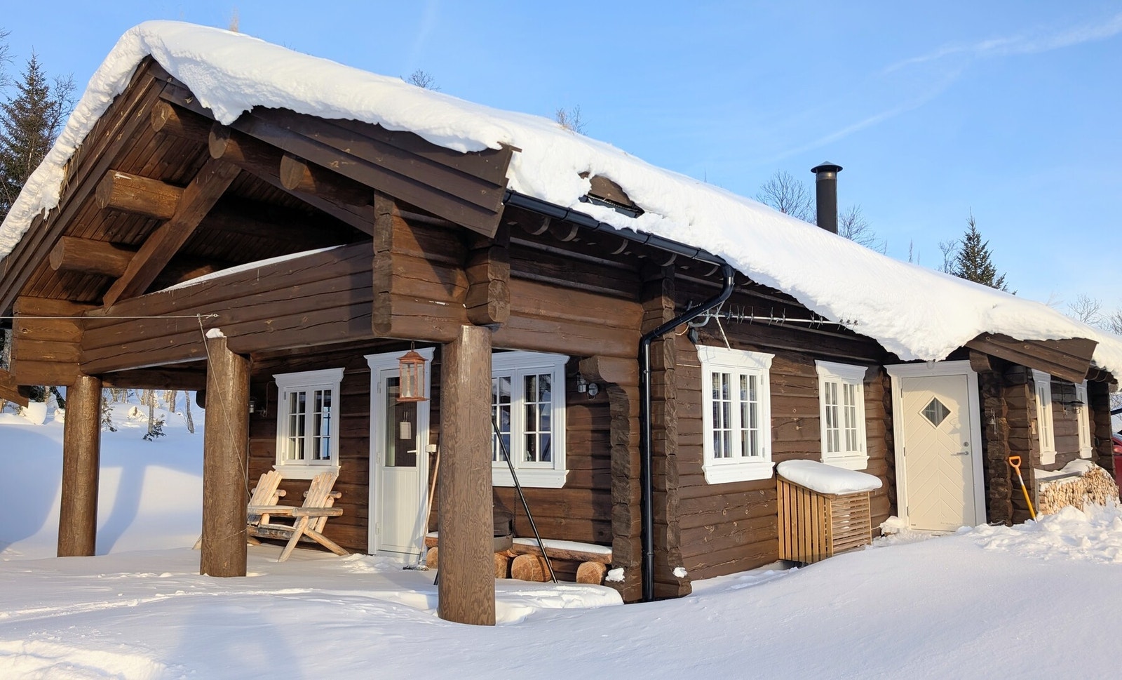 Selgers private bilder Galleribilde