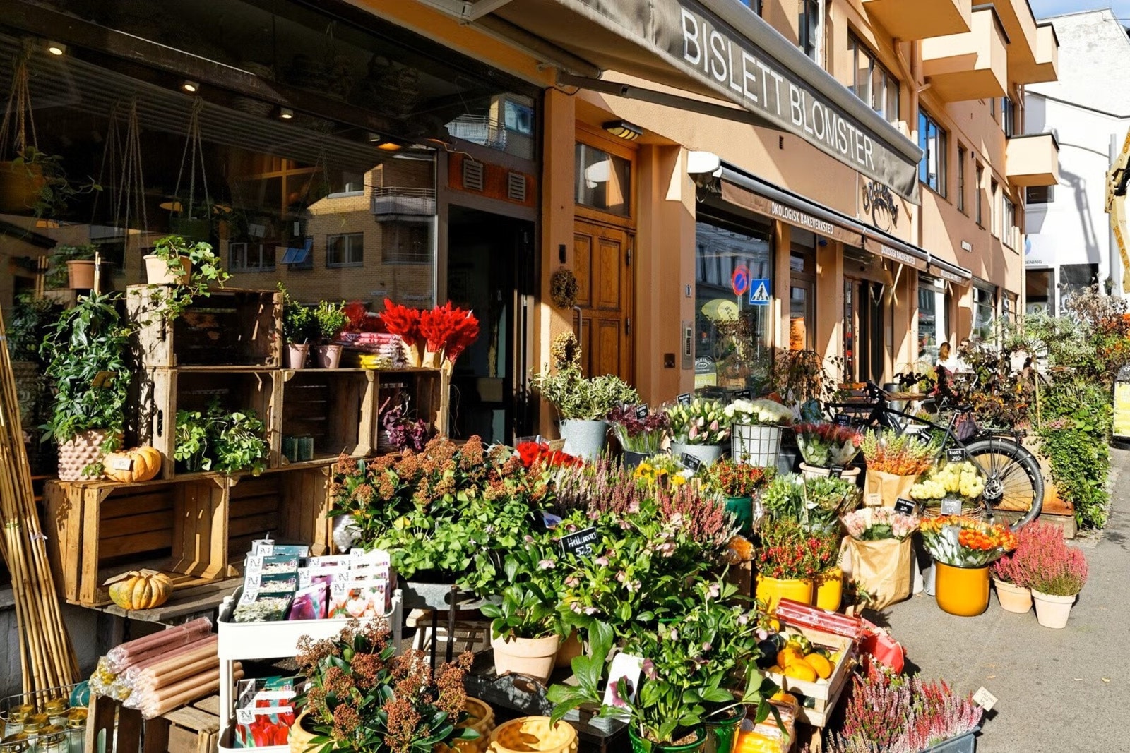 Det er flere hyggelig butikker, kafeer og andre forretninger i området Galleribilde